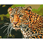 Алмазна мозаїка - Зеленоокий леопард Ідейка AMO7502