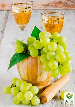 Виноград "Благовест" (ранній термін дозрівання, має тривалий термін зберігання ягід)2