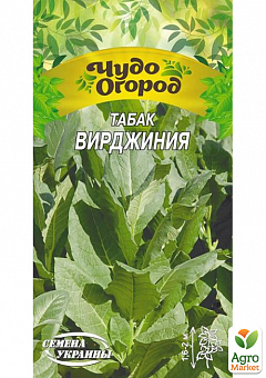 Семена Табак "Вирджиния" ТМ "Семена Украины" 0.1г1