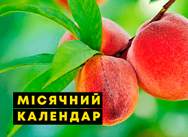 Місячний календар на липень 2022 - корисні статті про садівництво від Agro-Market