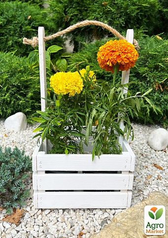 Ящик декоративный деревянный для хранения и цветов "Джусино" д. 22см, ш. 20см, в. 13см, высота с ручкой 40см. (белый с деревянными ручками) - фото 3