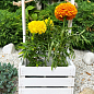 Ящик декоративный деревянный для хранения и цветов "Джусино" д. 22см, ш. 20см, в. 13см, высота с ручкой 40см. (белый с деревянными ручками) цена