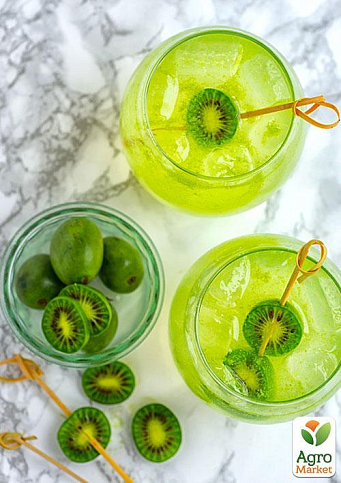 Актинидия "Сентябрьская" (мини-киви, морозостойкий сорт, поздний срок созревания) - фото 5