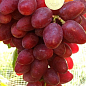 Виноград "Дубовский Красный" (сладкий крупный, гигантская ягода) цена