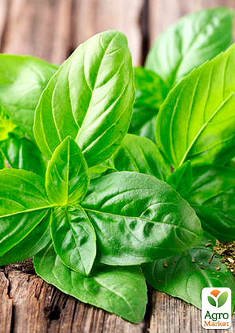 На вагу Базилік "Суміш кращих популярних сортів" ТМ "Весна" ціна за 3г - фото 2