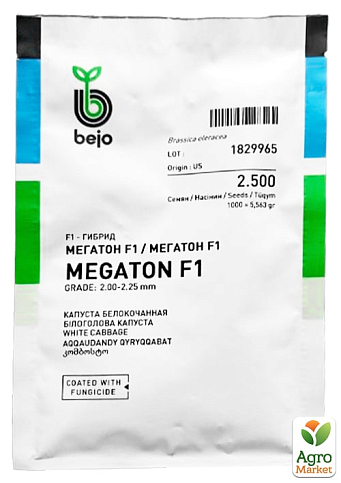 Капуста "Мегатон F1" ТМ "Bejo" 2.500шт - фото 2