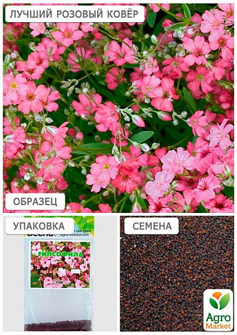 Гіпсофіла рожева (Зипер) ТМ "Весна" 1г - фото 4