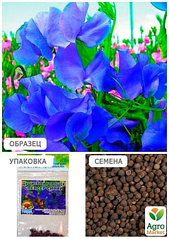 Душистый горошек "Спенсер синий" (Зипер) ТМ "Весна" 2г19