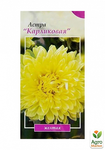 Астра "Карликовая желтая" ТМ "Весна" 0.2г - фото 2