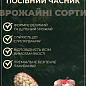Эксклюзив! Чеснок посадочный (однозубка) светло-фиолетовой "Благородный" (Noble) (премиальный крупный сорт, фракция 7-12 мм) Украина 200г купить