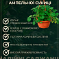 Земляника крупноплодная "Желтое чудо" ремонтантная в подвесном вазоне купить