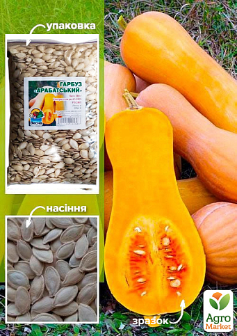 Тыква "Арабатская" ТМ "Весна" 500г