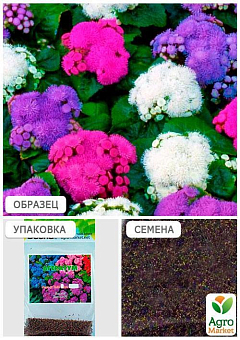 Агератум смесь окрасок (Зипер) ТМ "Весна" 1г17