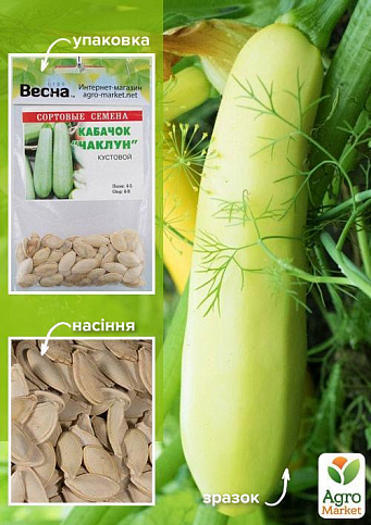 Кабачок "Чаклун" (Зипер) ТМ "Весна" 5г