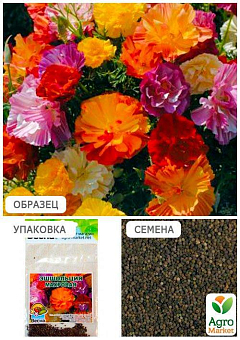 Эшшольция "Махровая" (Зипер) ТМ "Весна" 1г8
