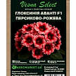 Глоксинія "Аванті F1" персиково-рожева ТМ "Vesna Select" 5шт купить