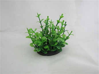Рослини штучні Пластикове рослина 041072 6х10 (1072000)