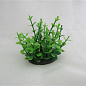 Рослини штучні Пластикове рослина 041072 6х10 (1072000)