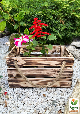 Ящик дерев'яний для зберігання декору та квітів "Бланш" довжина 25см, ширина 17см, висота 13см. (обпалений з великими ручками)
