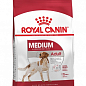 Royal Canin Medium Adult Сухий корм для дорослих собак середніх розмірів 1 кг (4024460)