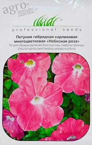 Петунія "Небесна троянда" ТМ "Hem Zaden" 0.2г