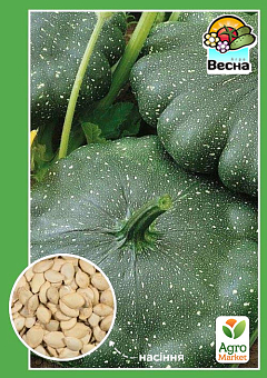 Патисон "Малахіт" ТМ "Весна" 2г11