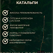 Катальпа обыкновенная