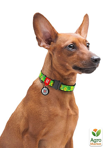 Ошейник для собак нейлоновый WAUDOG Nylon с QR паспортом, рисунок "Авокадо", металлическая пряжка-фастекс, Ш 20 мм, Д 28-40 см (5138) - фото 3