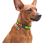 Ошейник для собак нейлоновый WAUDOG Nylon с QR паспортом, рисунок "Авокадо", металлическая пряжка-фастекс, Ш 20 мм, Д 28-40 см (5138) цена