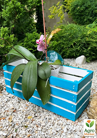 Ящик декоративный деревянный для хранения и цветов "Жиральдо" д. 44см, ш. 17см, в. 17см. (синий) - фото 3