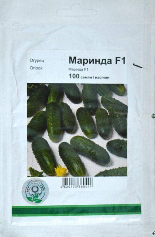 Огірок "Марінда F1" ТМ "Seminis" 100шт