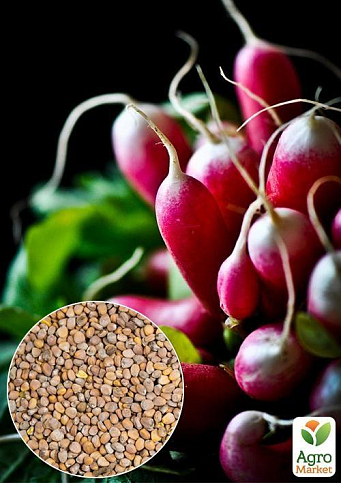 На развес Редис "Богиня" ТМ "Весна" цена за 10г