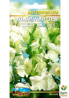Левиний зів білий ТМ "Весна" 0.1г26