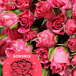 Эксклюзив! AGROBOX с саженцем обильно цветущей розы