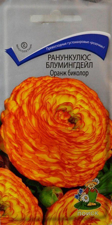 Ранункулюс "Блумінгдейл Оранж біколор" ТМ "Пошук" 5шт