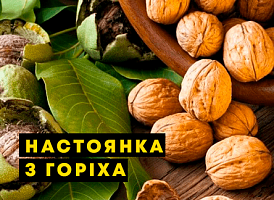 Лікувальна настоянка з горіха - корисні статті про садівництво від Agro-Market