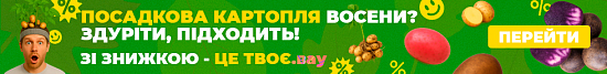 Посадкова картопля восени? Здуріти, підходить!