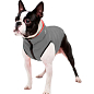 Курточка для собак AiryVest двухсторонняя, размер L 55, кораллово-серая (1695)  купить