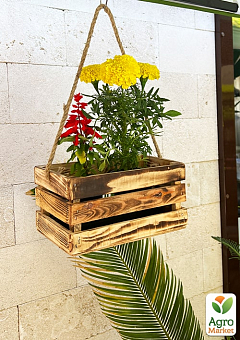 Ящик дерев'яний для зберігання декору та квітів "Бланш" довжина 25см, ширина 17см, висота 13см. (обпалений з довгою ручкою)1