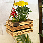 Ящик дерев'яний для зберігання декору та квітів "Бланш" довжина 25см, ширина 17см, висота 13см. (обпалений з довгою ручкою)