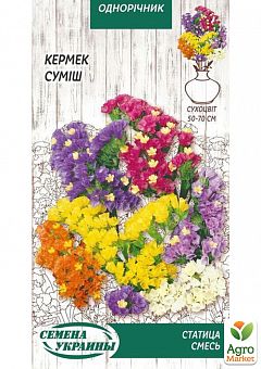 Сухоцвет "Статица" смесь ТМ "Семена Украины" 0.2г1