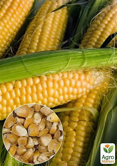 На развес Кукуруза сахарная ТМ "Весна" цена за 40г1