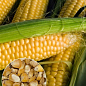 На развес Кукуруза сахарная ТМ "Весна" цена за 40г