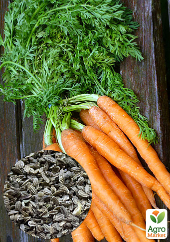 На вагу Морква "Перший збір" ТМ "Весна" ціна за 10г