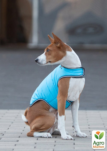 Куртка-накидка для собак AiryVest, XL, B 68-80 см, З 42-52 см блакитний (15452) - фото 3