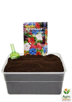 На развес Петуния ампельная ТМ "Весна" цена за 1,5г26
