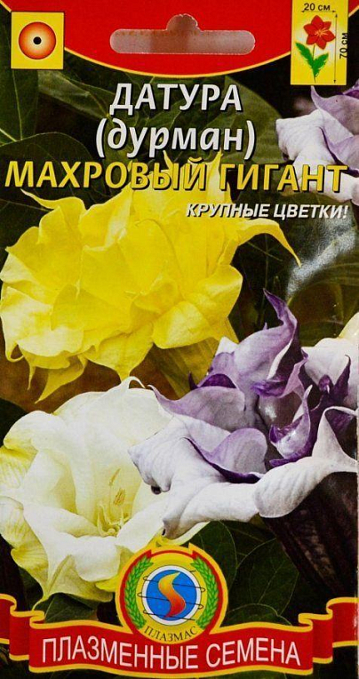Датура (дурман) "Махровий гігант" ТМ "Плазмас" 4шт