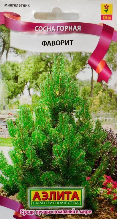 Сосна горная "Фаворит" ТМ "Аэлита" 0.1г