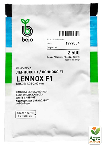 Капуста "Леннокс F1" ТМ "Bejo" 2.500шт - фото 2