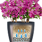 Умный вазон с автополивом Lechuzа Classico Color 60, песочно-коричневый (13333)